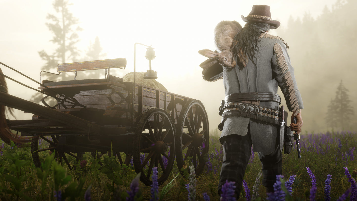 Red Dead Online PS4