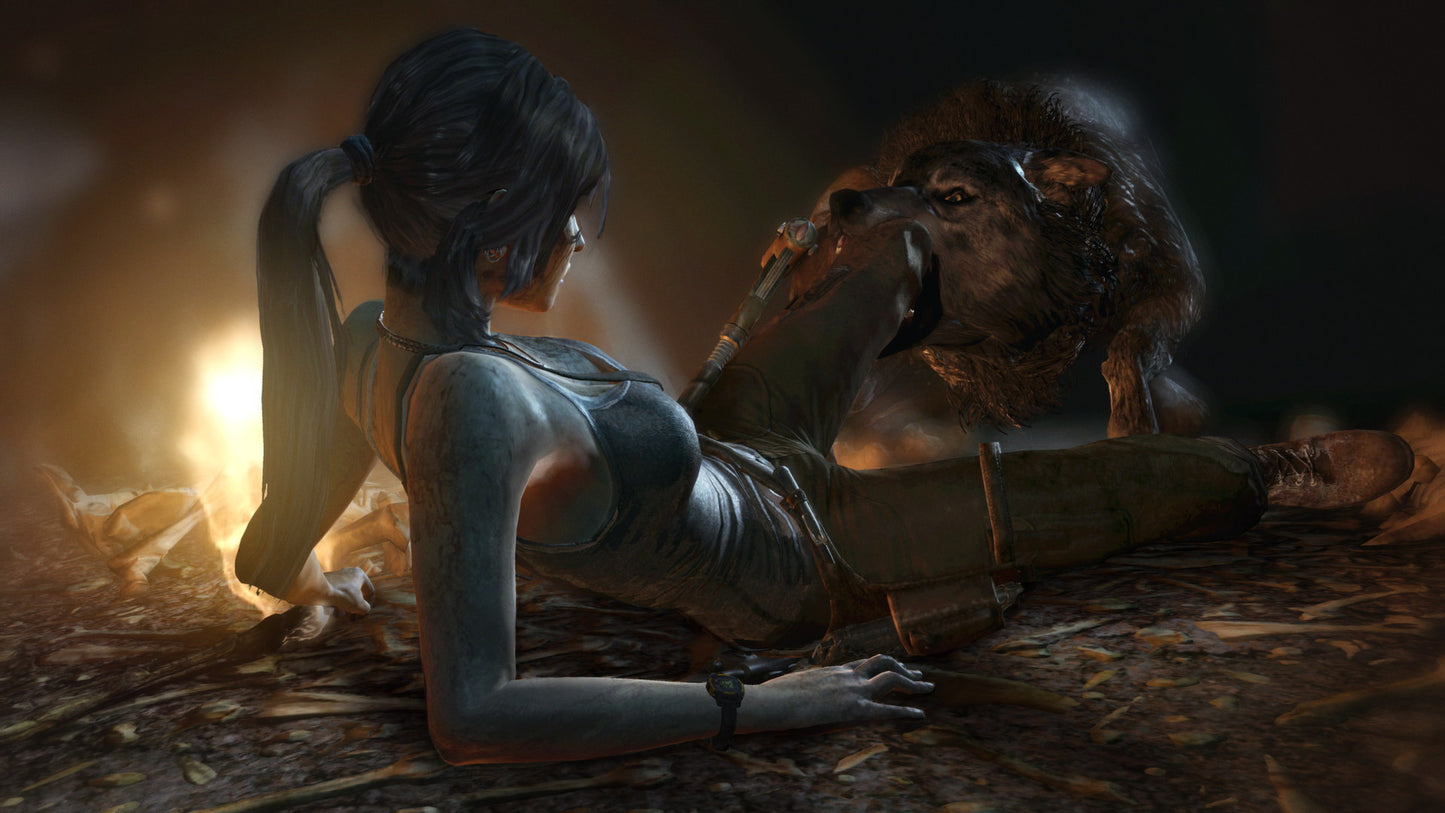 Tomb Raider: Definitive Edition