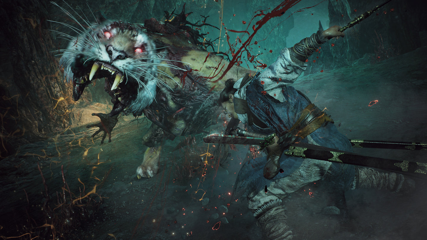 Wo Long: Fallen Dynasty (PS4 & PS5)