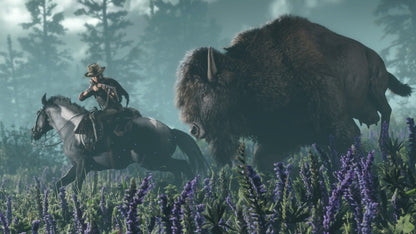Red Dead Online PS4