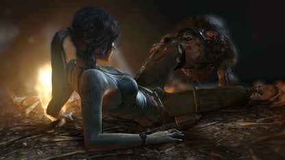 Tomb Raider: Definitive Edition