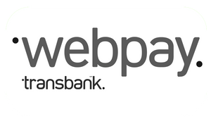 Payment Icon